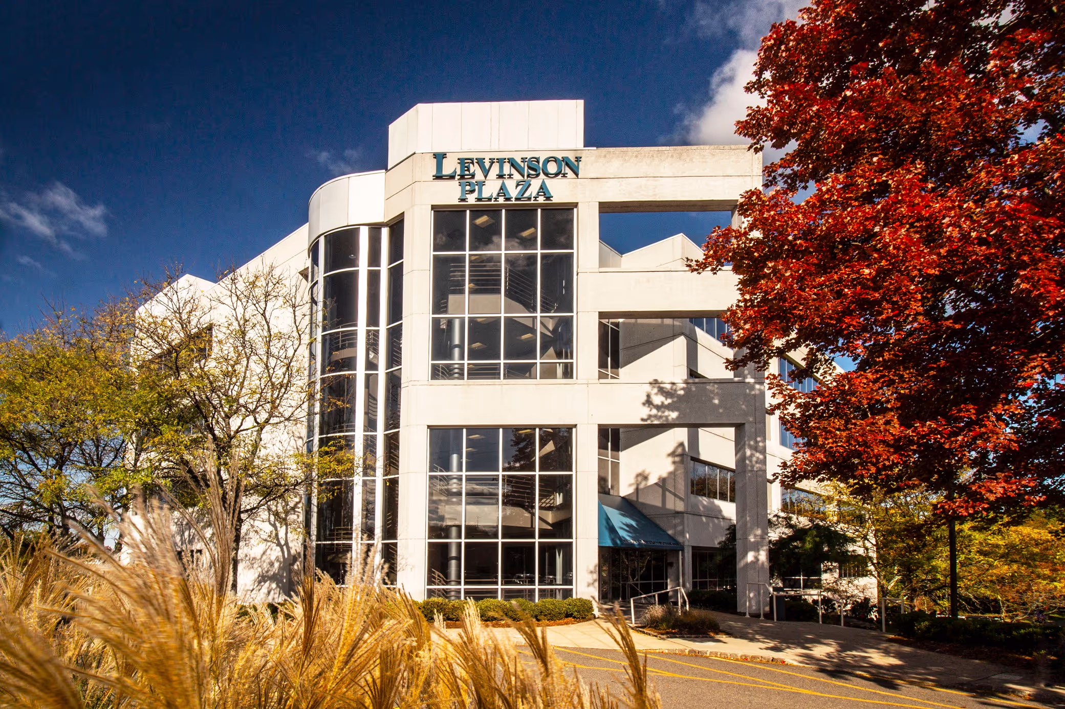 A picture of Levinson Axelrod building in Edison